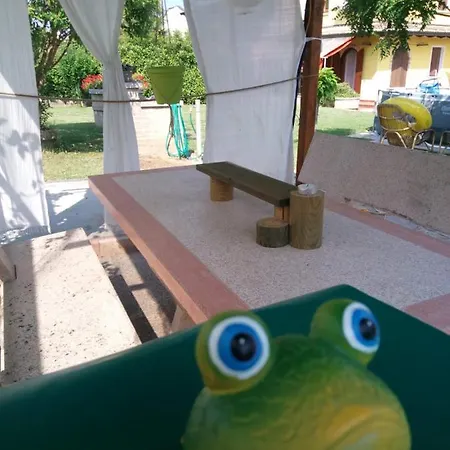 Mandimandi